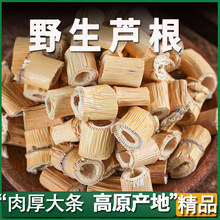 【云南直发】野生芦根中药材500g大芦根白洋淀芦根藕节泡水流鼻血