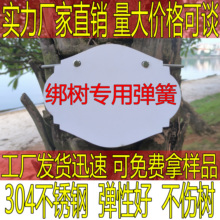 ���Ə��� ��������304���P䓲����P����s����Kչʾ�� ��