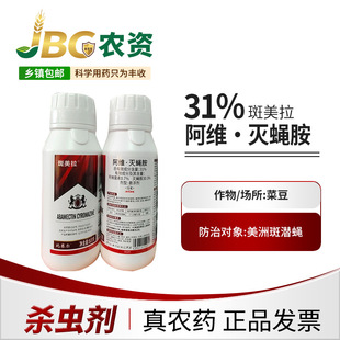 ������ 31% ���S&middot;��ω�� ��ِ�� �Ҹ���-500g