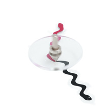 会游的蛇  磁力陀螺 新奇特科教玩具 送朋友孩子生日礼物