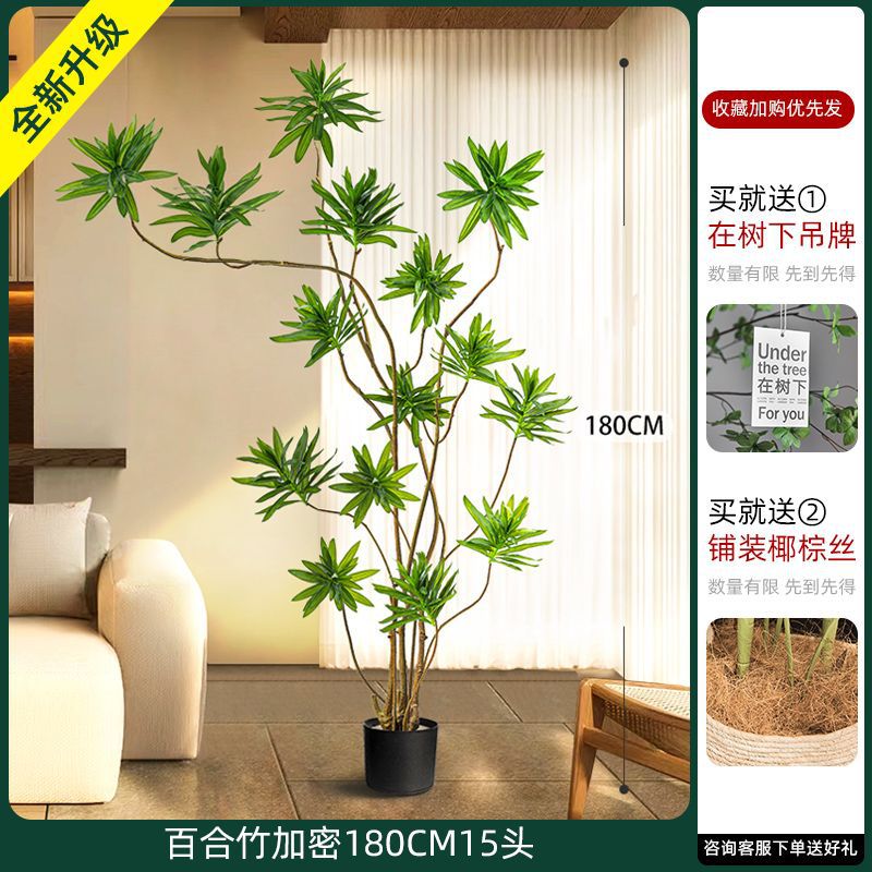 [W Ruyi Bamboo] Chậu than đen 180CM15