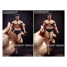 �F؛  TBLeague TM01A 02A 1/12���^���������w�ɄӰ��z ������