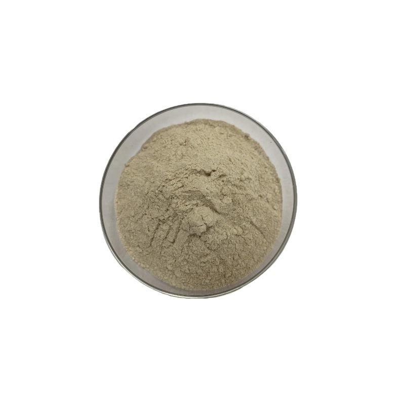 2024-08-13 09:16:27.jpg