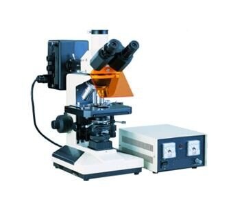 MHY-F150 荧光显微镜 三目镜,倾斜30˚