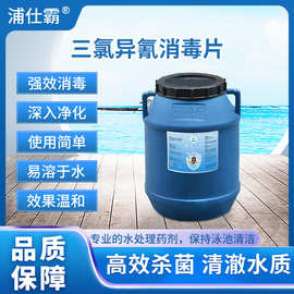 消毒片泳池高效抑菌三氯异氰尿酸消毒剂水上乐园专供净化水质50KG