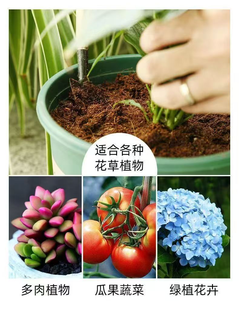 0ff2c937-1c27-486c-842a-ce73318992ab.jpe