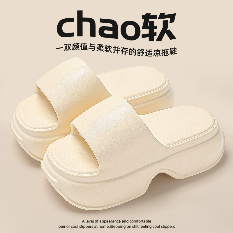 Тапочка на фекалии дамы носят летнюю обувь на супер толстой подошве