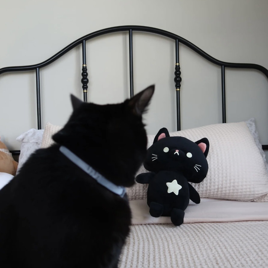 跨境新品Black Cat Plush黑猫毛绒卡通公仔猫薄荷可爱猫猫玩具