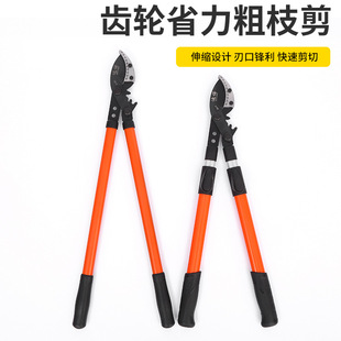 ����s�L�������@�ּ�����֦��ʡ�����ؿ쏊��������֦�����L��֦