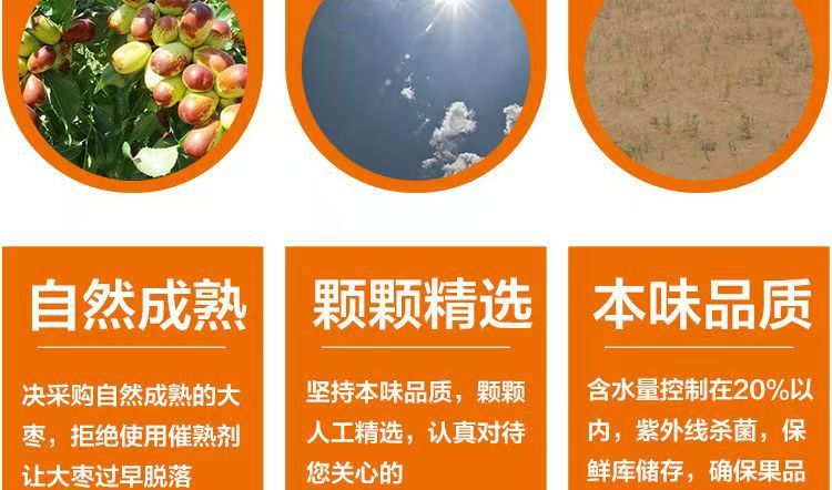 Premium Hetian Jujube Dates 500g Large Sun-Dried Red Dates from Xinjiang key features