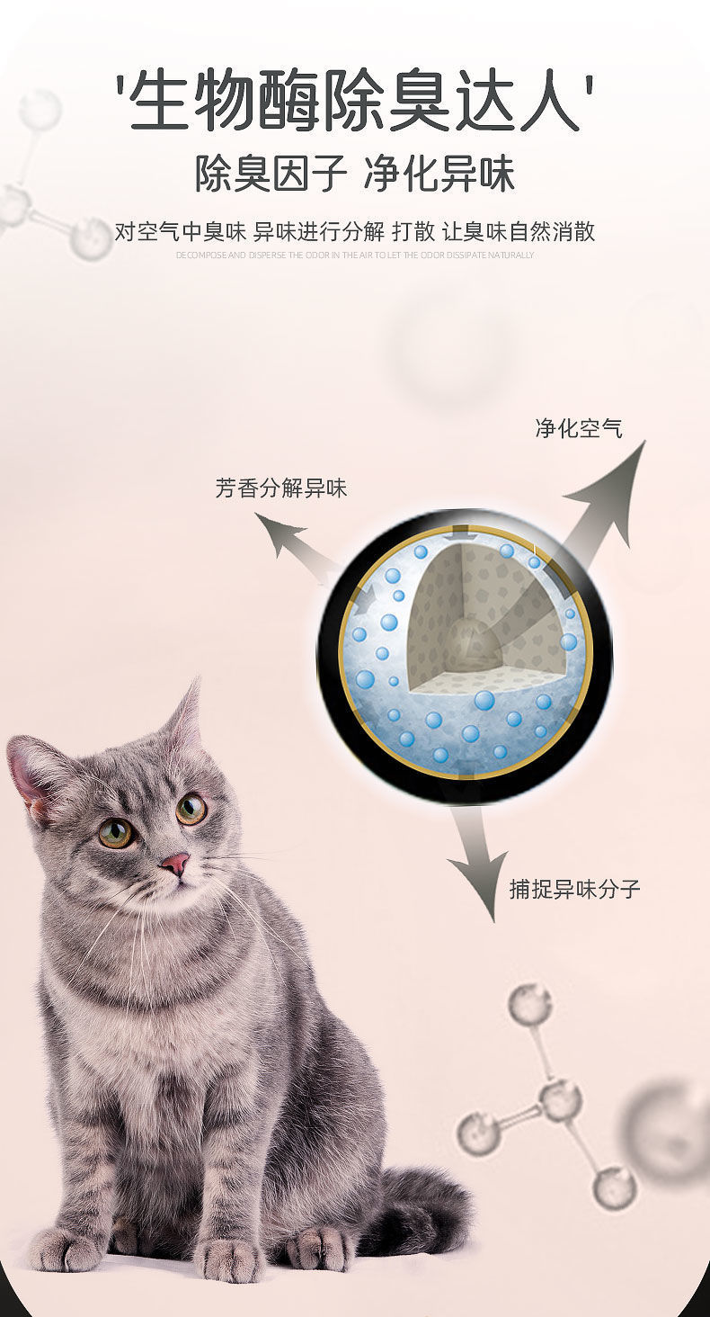 3b379720-45ec-4484-9f5f-5d8ff10f2f8b.jpe