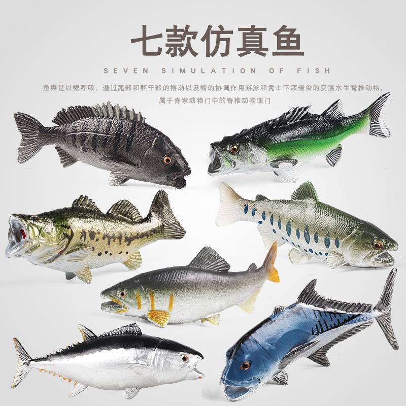 儿童启蒙认知仿真海洋动物鱼类钥匙扣模型玩具金枪鱼鲈鱼鲷鱼摆件
