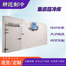 -60℃速冻冷库 可移动超低温冷藏保鲜速冻库 预制菜小龙虾水产速