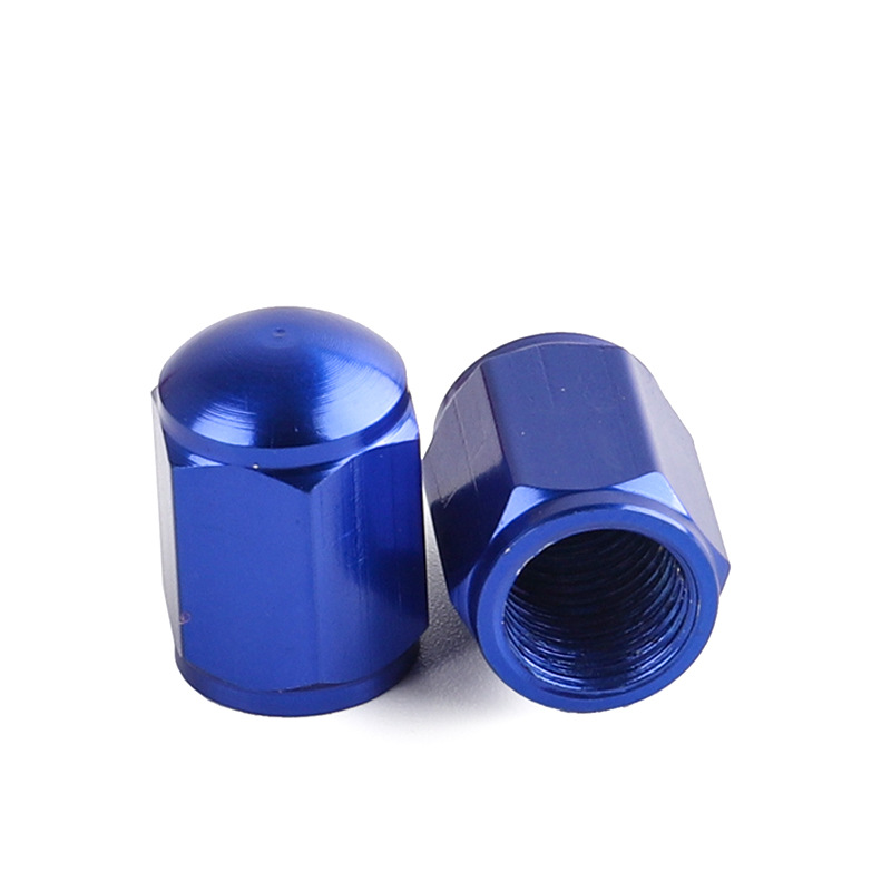 파란색 밸브 캡