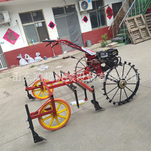 �����C���ĵιܸ�Ĥ�C �R����Ĥ�C���͵�Ĥ�C