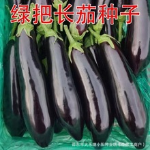 �G���L�ѷN�Ӹ߮a�Ј����x��Ʒ�|�����G�����ӷN���ϱ����Nֲ