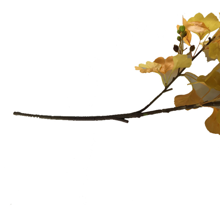 XRB-190 古枝银杏75叶4.jpg