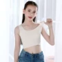 弹力少女小学生女童文胸