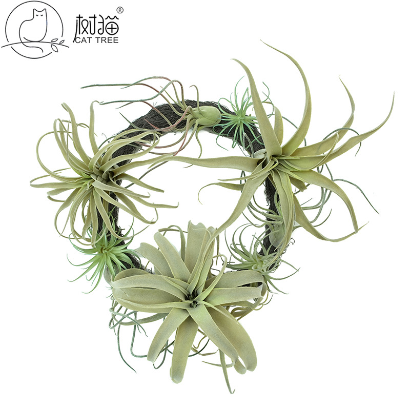 仿真空气凤梨植物植毛假多肉空气草室内吊兰盆栽花卉绿植墙装饰草