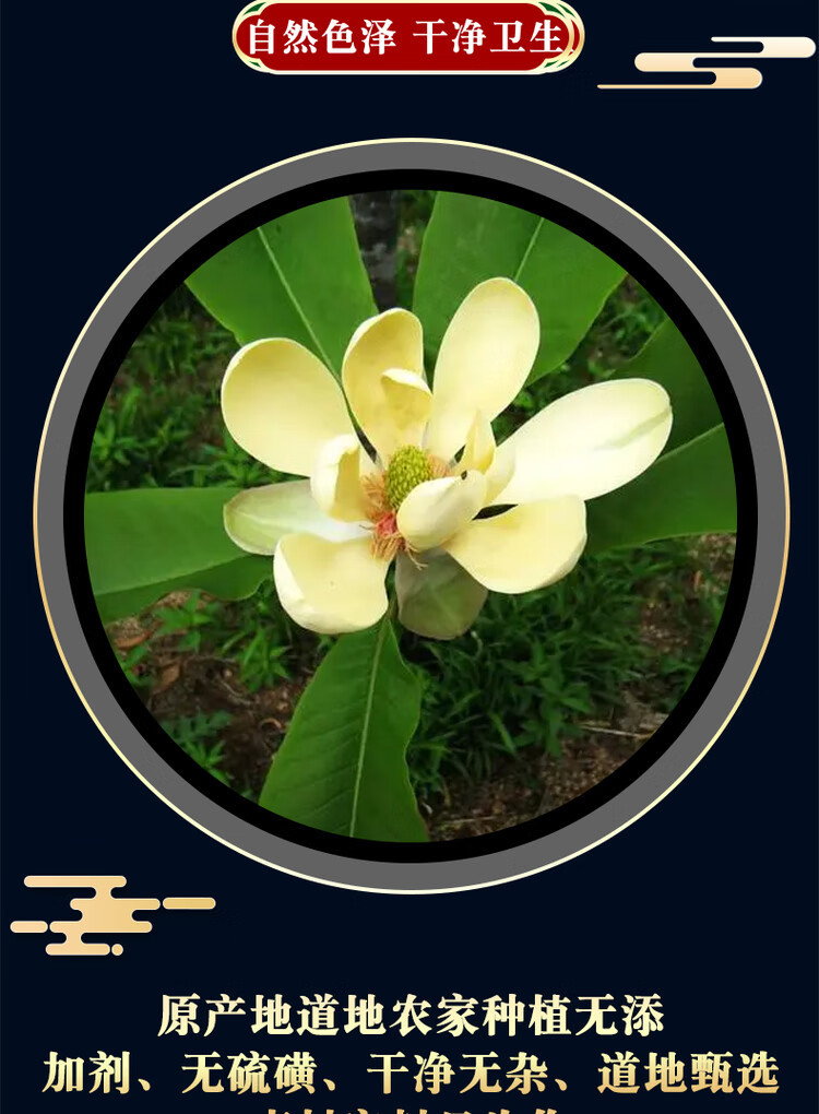 Sichuan Magnolia Bark Hou Po 厚朴 500g Dried Herbal Slices Traditional TCM Decoction Herb key features