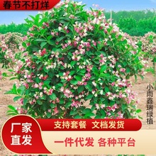 һl\Զ༾_eͥԺGL仨