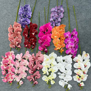 9�^�����m���滨�Wʽ��Y�È��������b��߼��ДzӰ���߼ٻ�