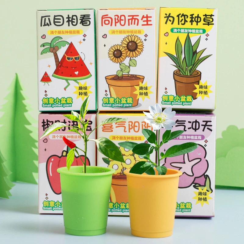 Office Green Plant Small Potted Children's Desktop Mini Magic Plant Cans Planting Potted Children's Day Gift Office Green Plant Small Potted Children's Desktop Mini Magic Plant Cans Planting Potted Children's Day Gift