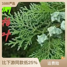 �؎X���r�Ȱ��~3�����r�ؘ��~�ӱ���~ֲ����~�Ȱ��~5��2500g