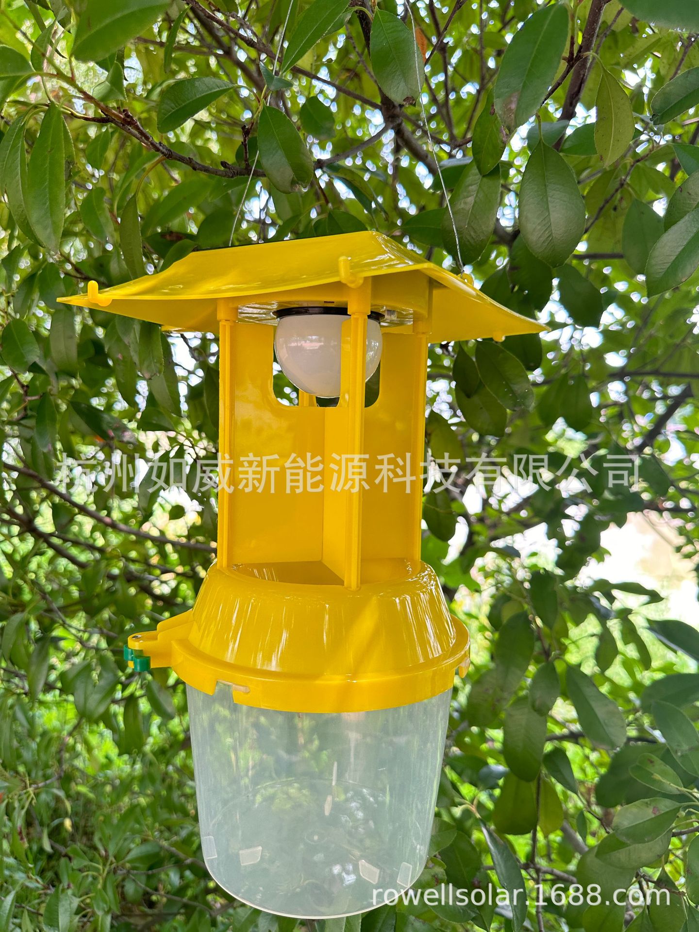 微信图片_20240813164945