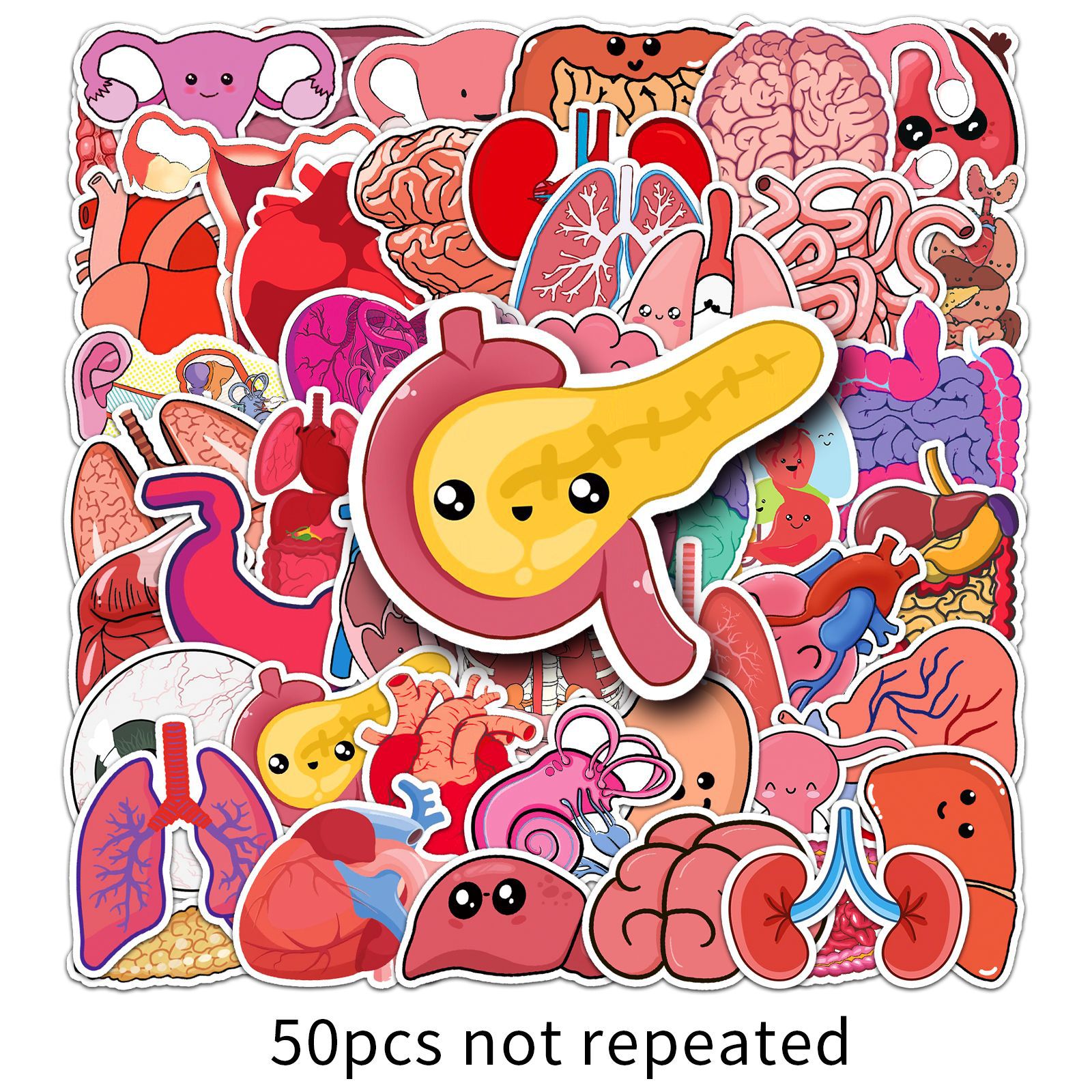 50 cartoon human organs-912