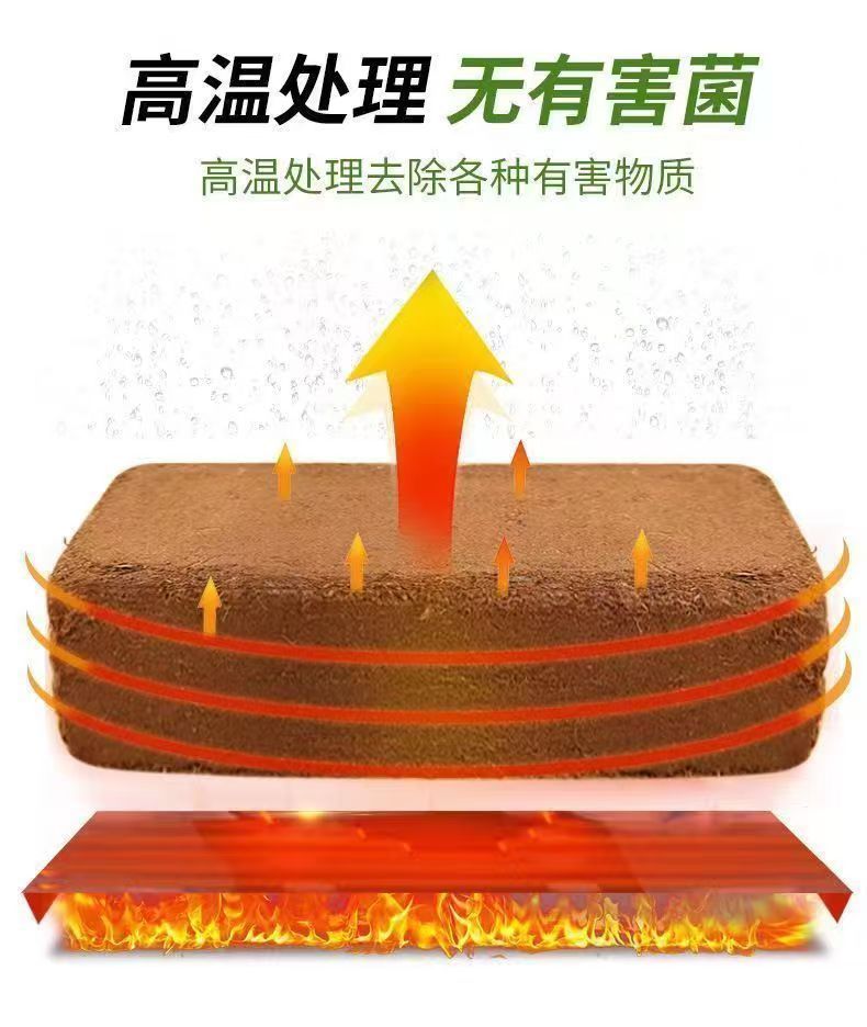 1cb416d5-1ea1-46be-a1f2-33bb50ea5859.jpe