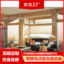 定制加工智能電動日夜蜂巢簾按客戶要求定制生產各款式蜂巢簾百葉