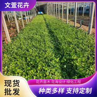 �G���������绨�~���L�������G���ݻ��������Ի��~���L��С�����l