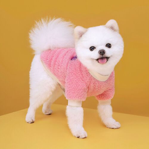 Amazon Autumn/Winter Pet Dog Thick Warm Two-Foot Fruit Coral Fleece Hoodie for Small and Medium Dogs