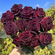 �tõ�廨�N�� �Gֲ���Ի����r���N�����Ե����ļ��N�� �¼��N��