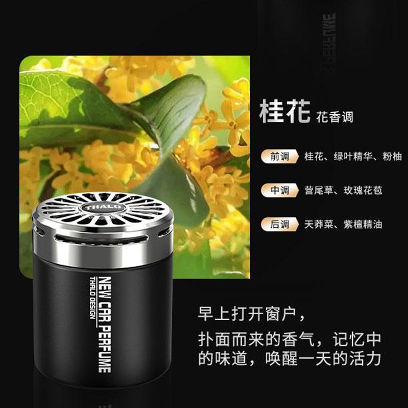光と影のキンモクセイ