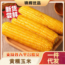 �|���SŴ���װ�10֧��؛����b�S���׬Fժ���r��������ճ�ּZ����