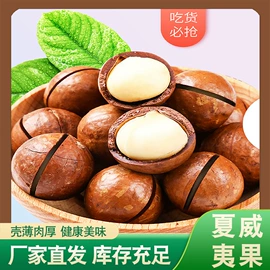 干果生货;夏威夷果;核桃