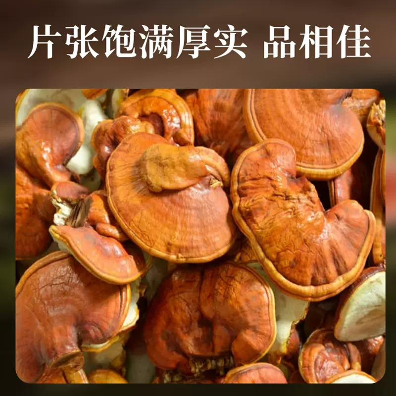 三秀呈祥牌泰山赤灵芝灵芝片原料供应生产无土栽培