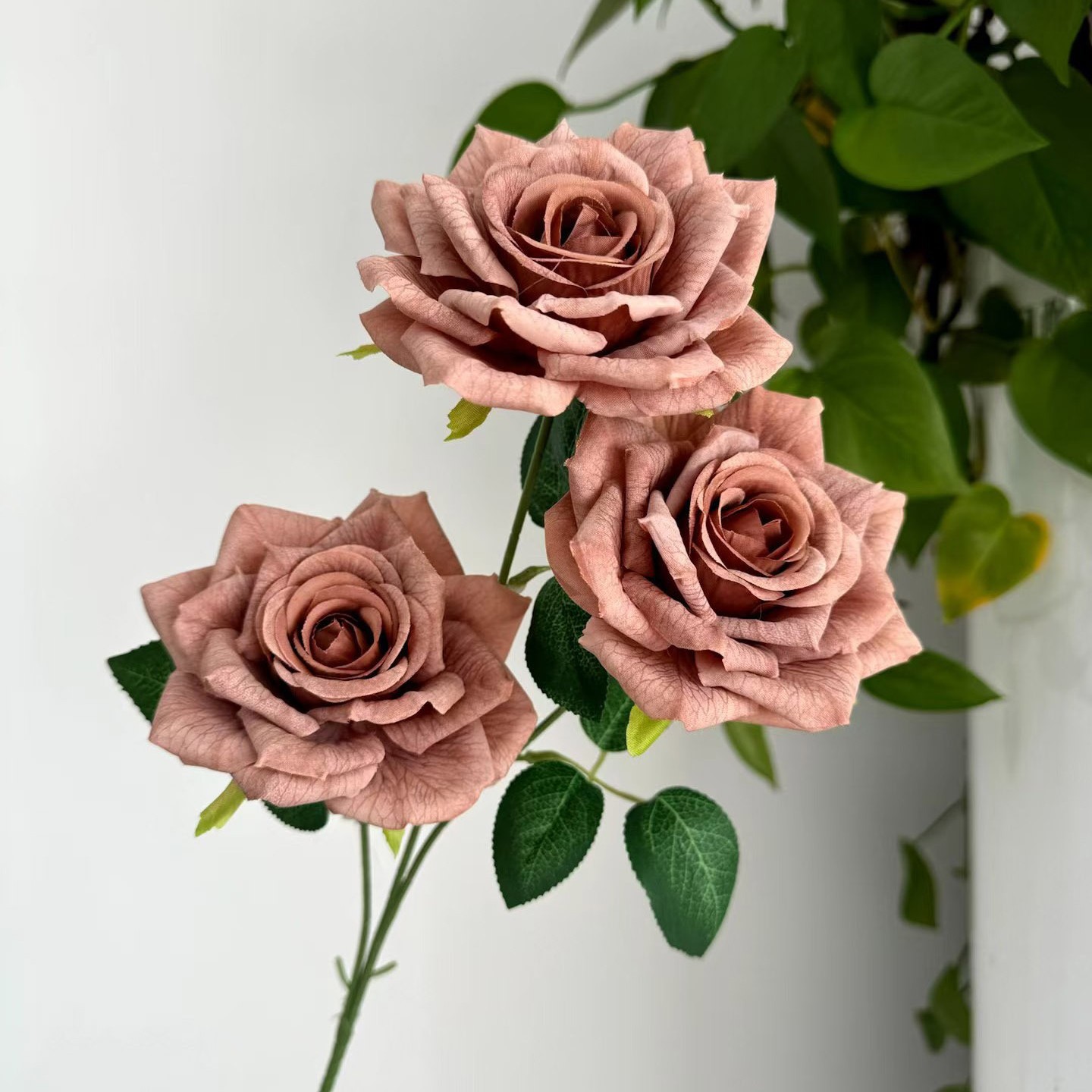 rose flocon de neige