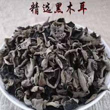 ����Ұ����ľ���ɻ��ز�С�����񳤰�ɽҰ���ľ��ľ�޸���ľ��