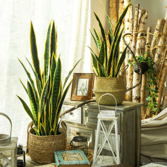 北歐風仿真植物虎皮蘭盆栽室內客廳辦公室落地盆景裝飾假綠植擺件