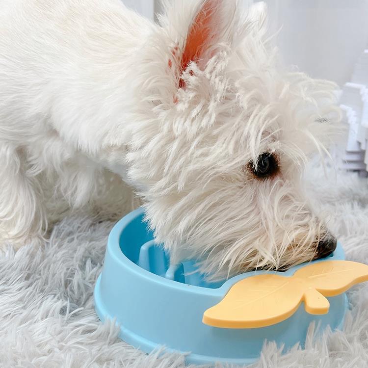 Dog Slow Bowl Cat Bowl Dog Basin Defense Pet Rice Basin Kitten Puppy…