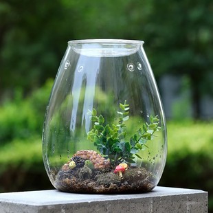 Glass bottle landscape natural tropical mini desk small decoration aquarium Moss ecological bottle