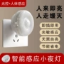 卧室感应插电过道小夜灯