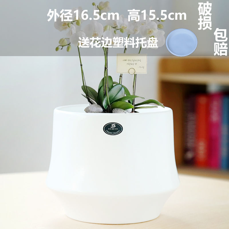 Large cloud matte white (comes with tray)