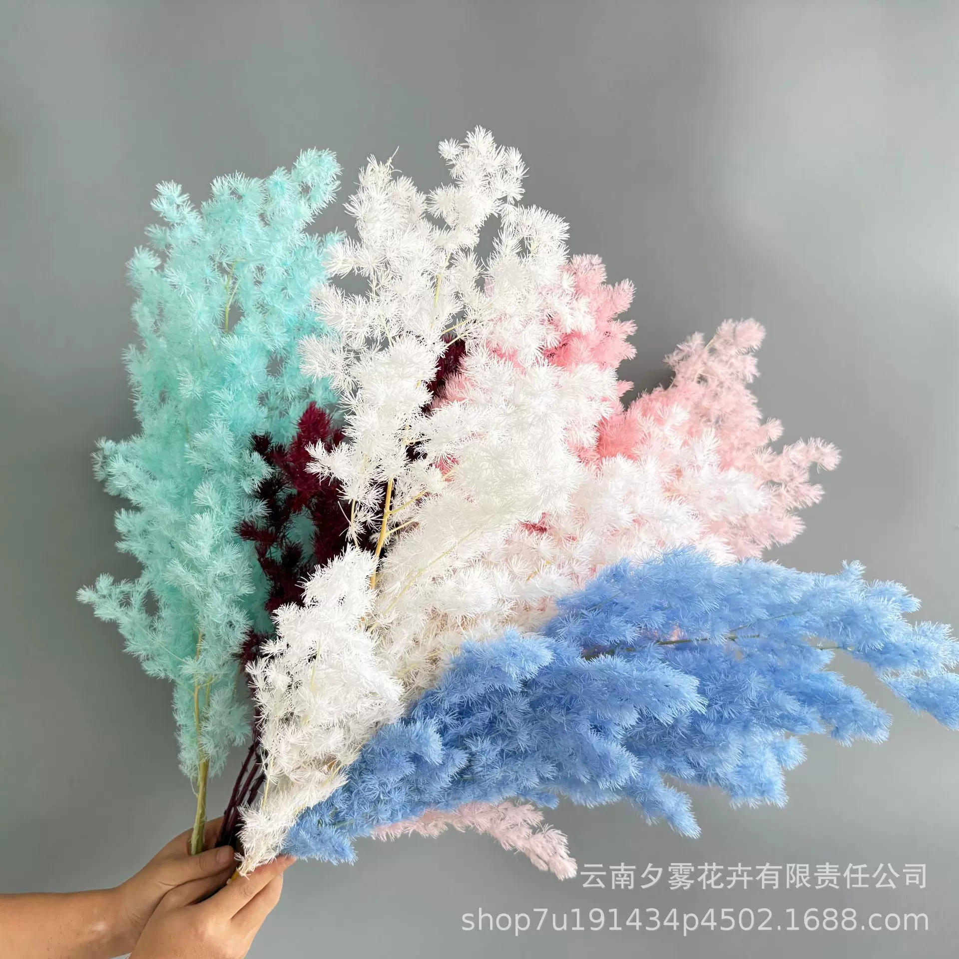 云南工厂直发永生花蓬莱松圣诞树装饰真花配花手工DIY花束配材