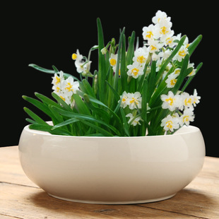 ˮ�ɻ��մ����~�X��ˮ��˯ɏһ�~ɏ��ɏ���X��ˮ�B������ןo�״�