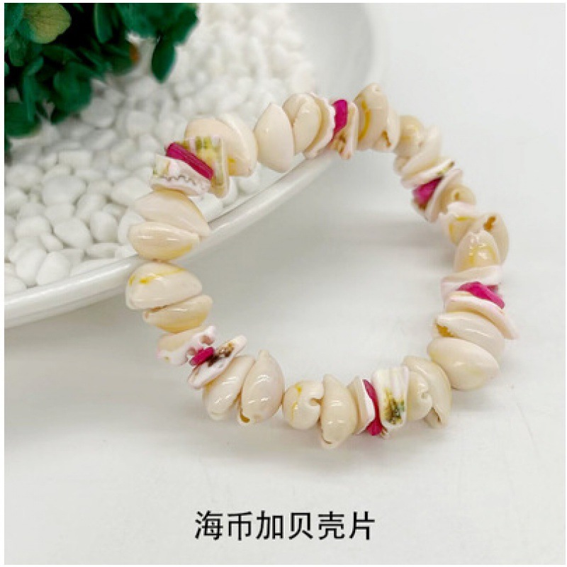 미색 조개껍질과 조개 조각