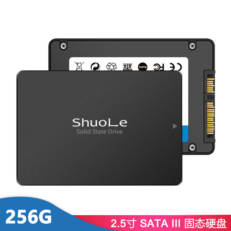 SL-SSD 256G